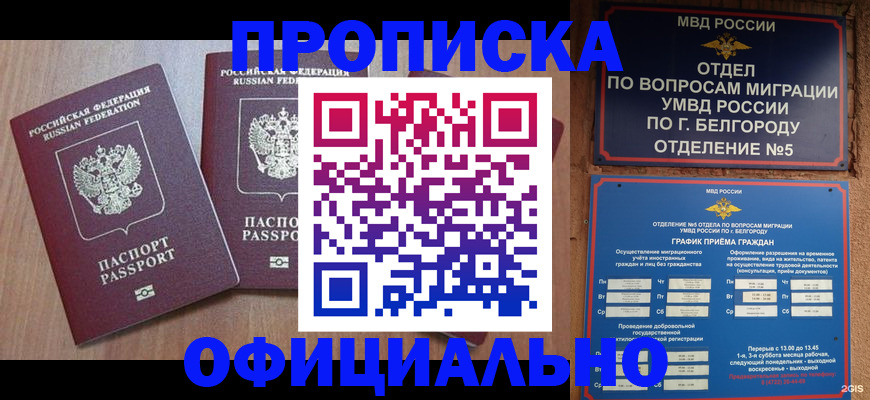 найти адрес прописки в Великом Новгороде